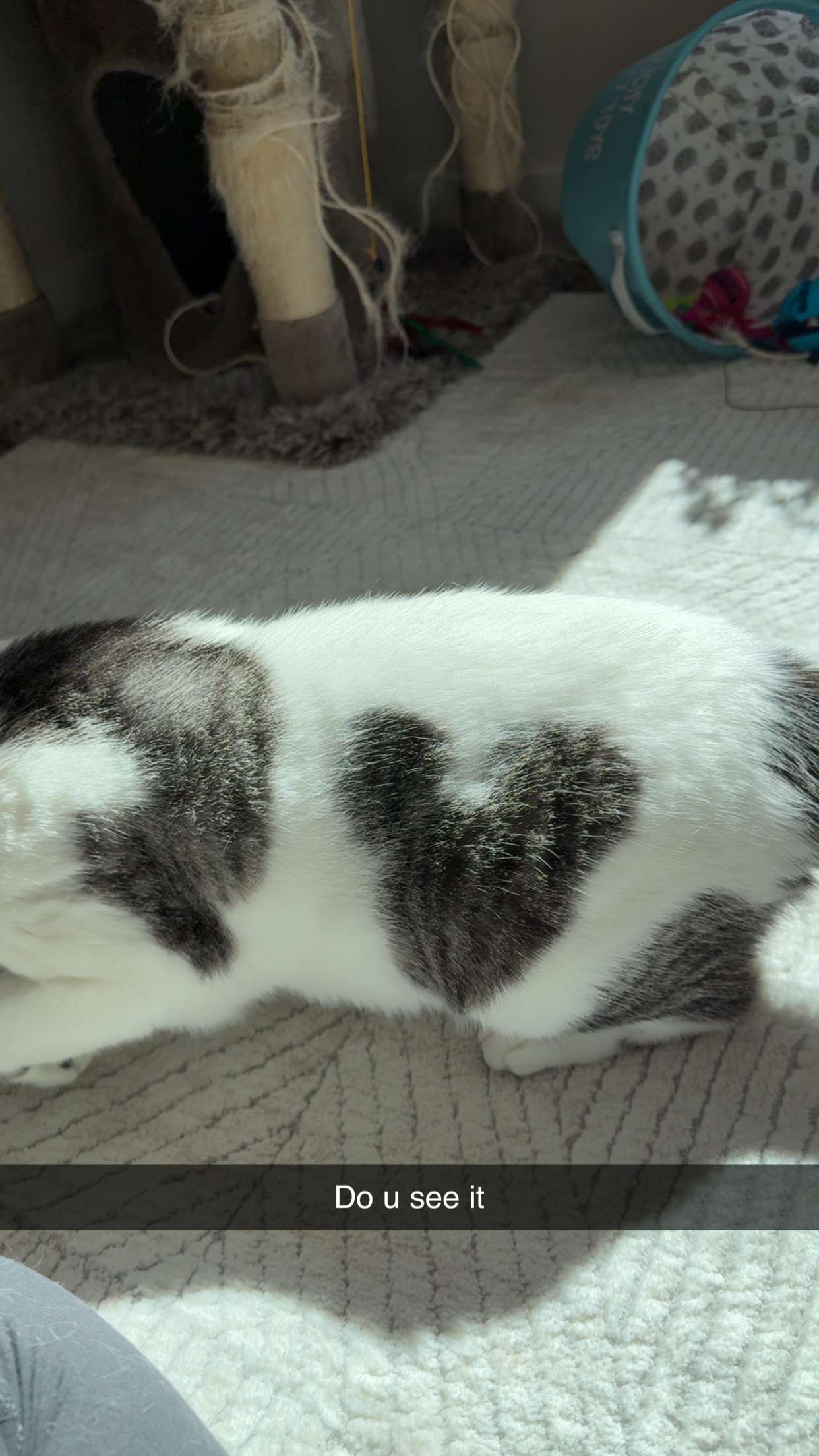 kydoddss snapchat image archive image