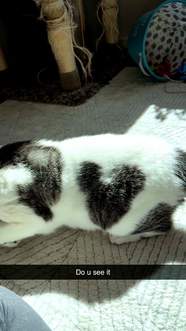 kydoddss image ~ Altpins