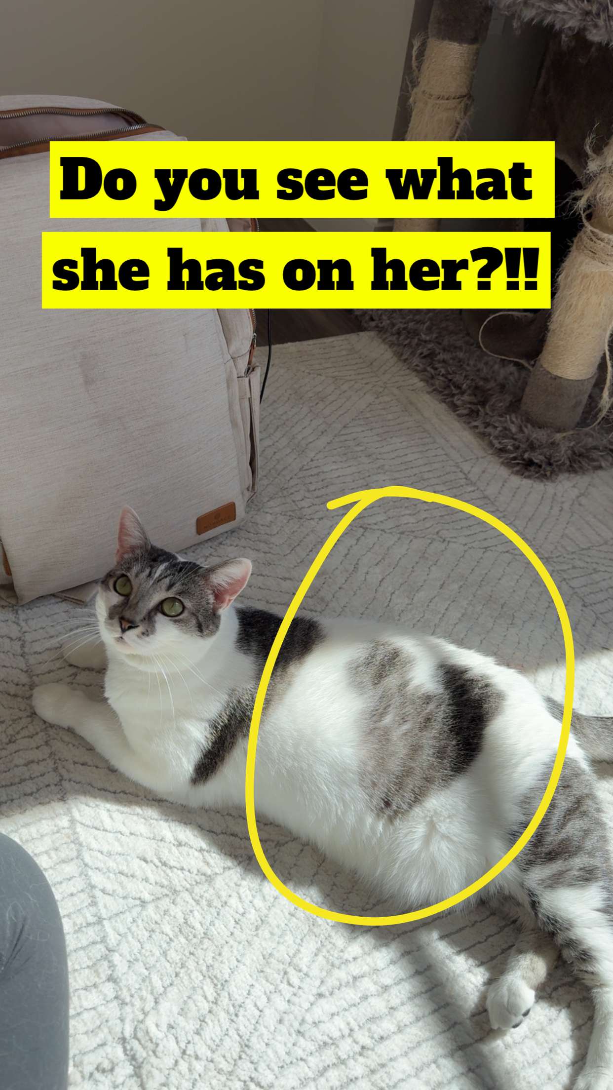 kydoddss snapchat image archive image