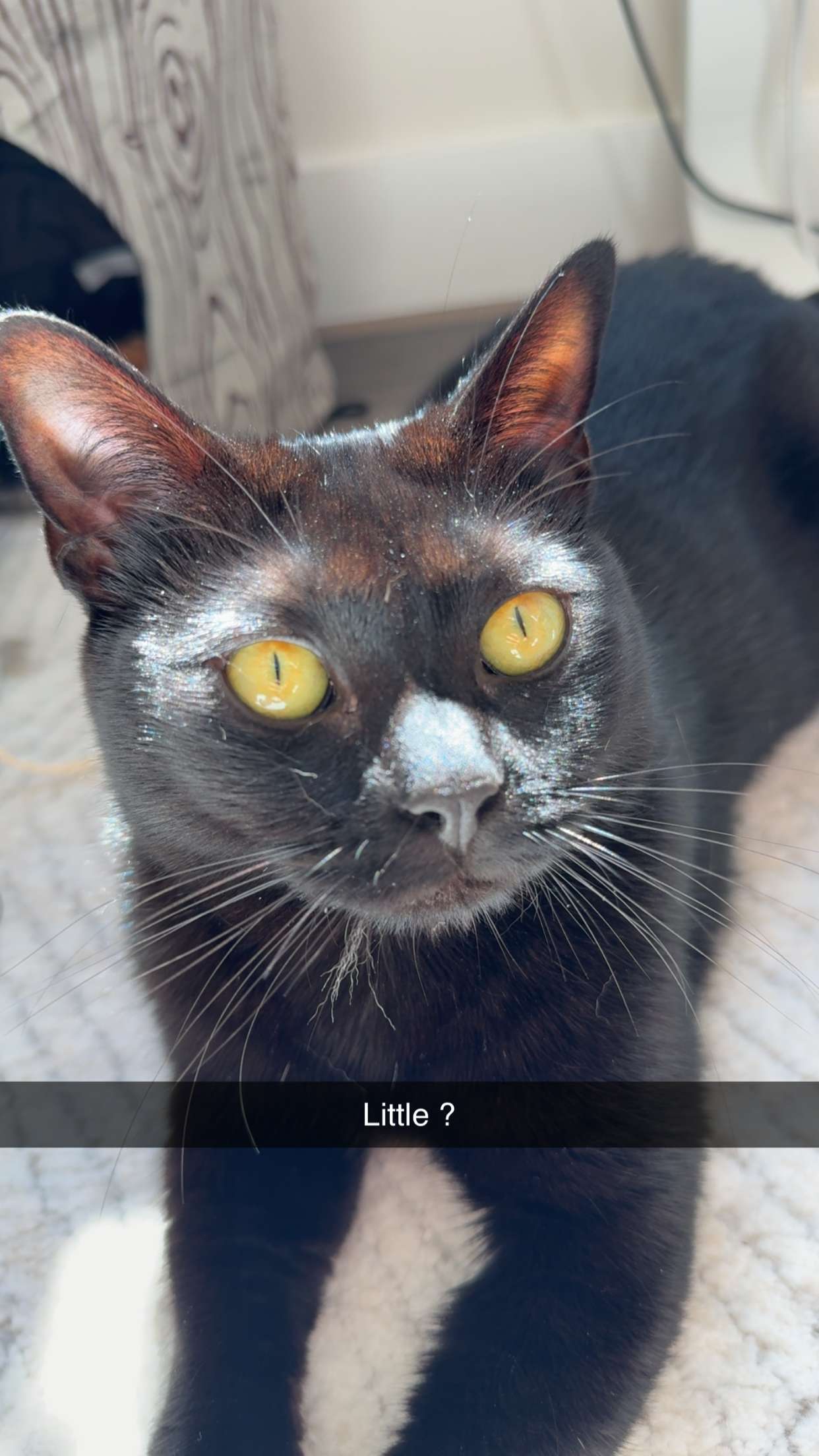 kydoddss snapchat image archive image