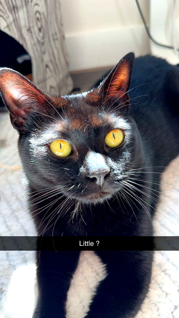 kydoddss image ~ Altpins