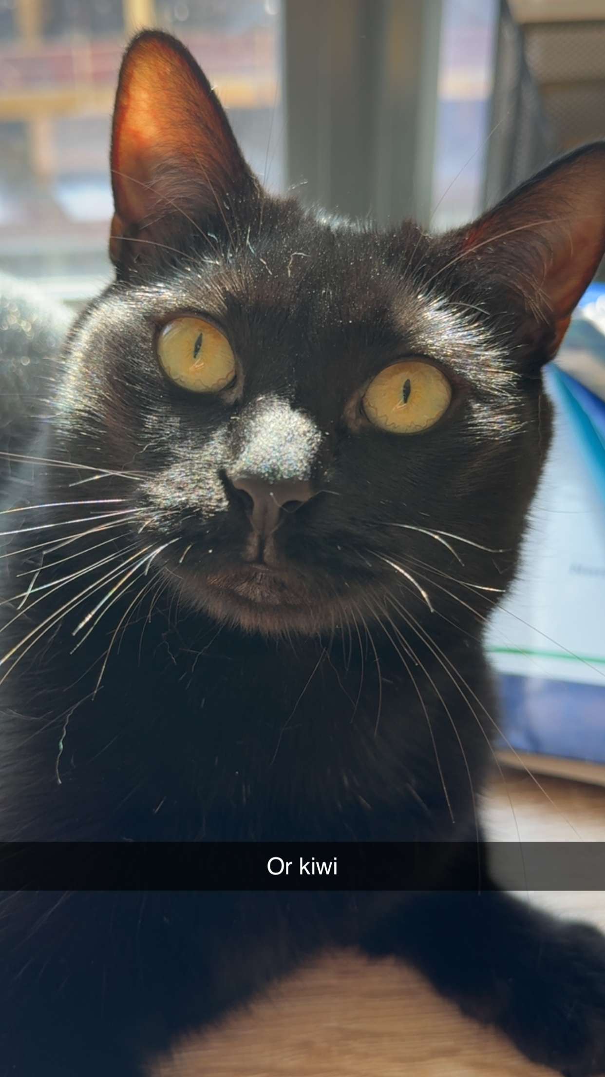 kydoddss snapchat image archive image