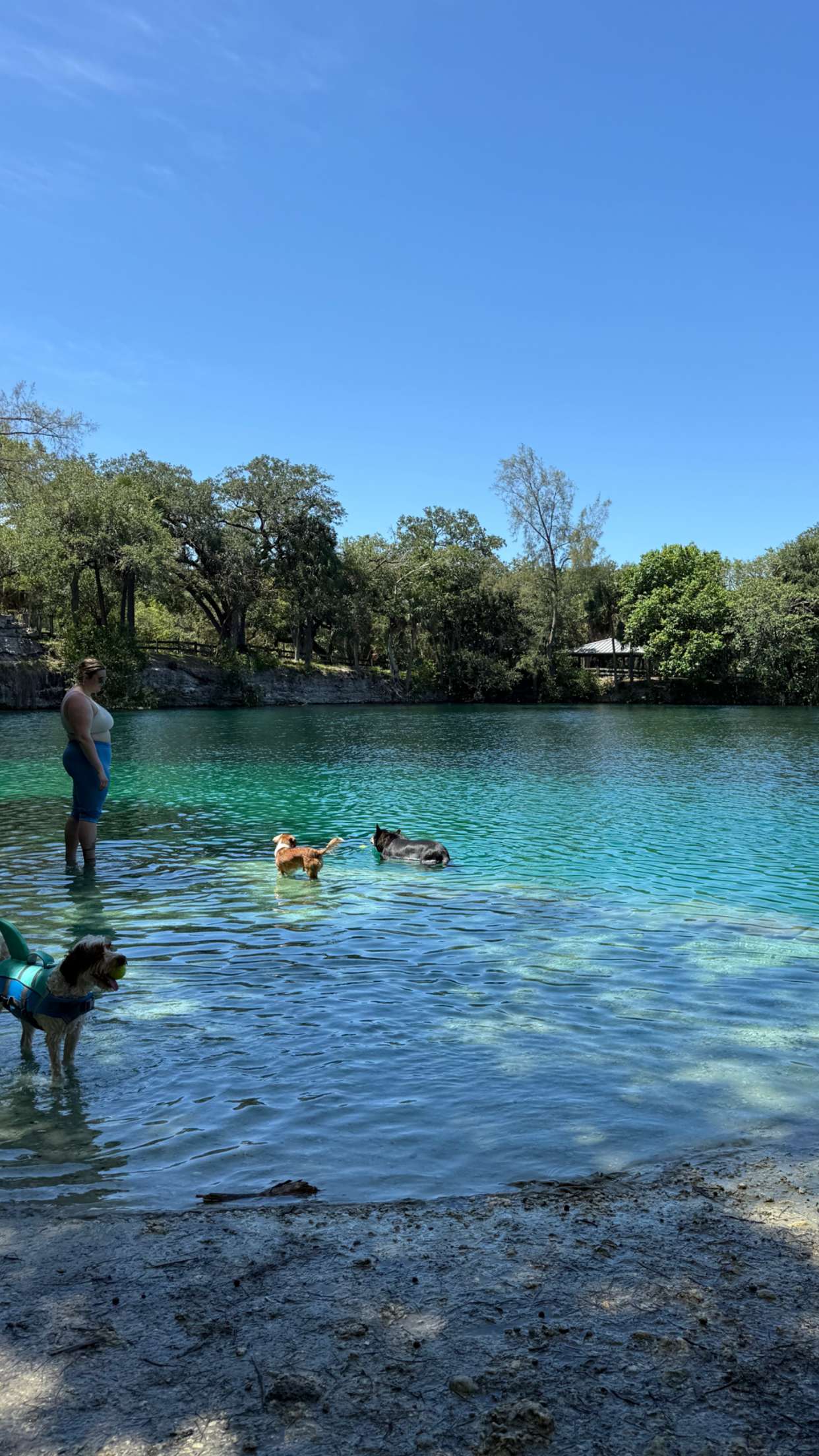 kydoddss snapchat image archive image