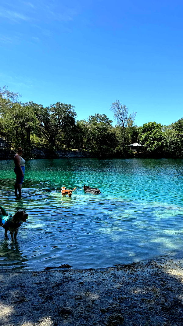 kydoddss image ~ Altpins