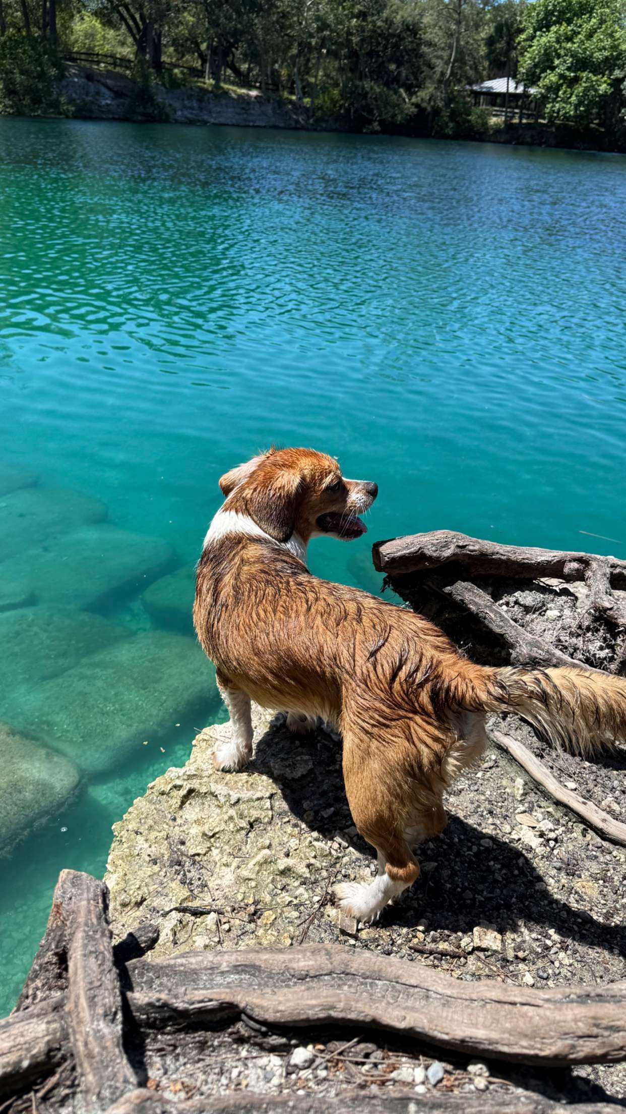 kydoddss snapchat image archive image