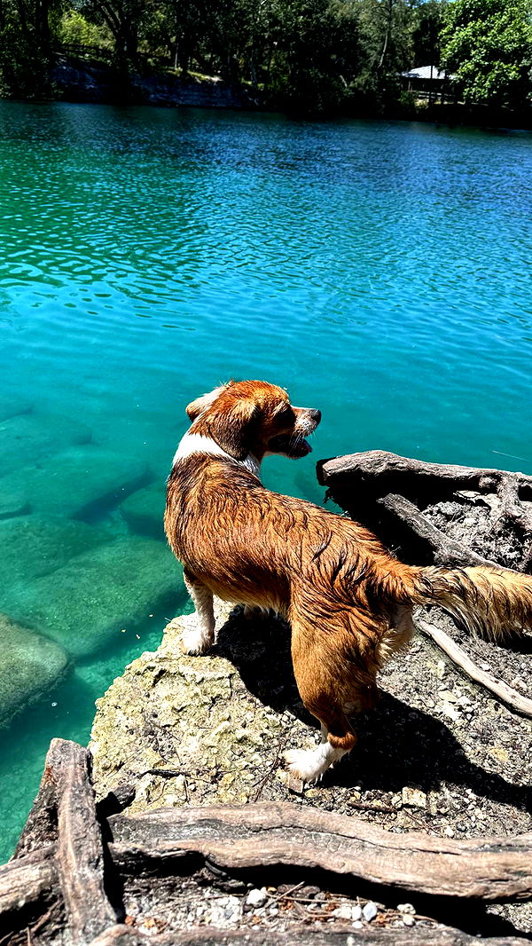 kydoddss image ~ Altpins