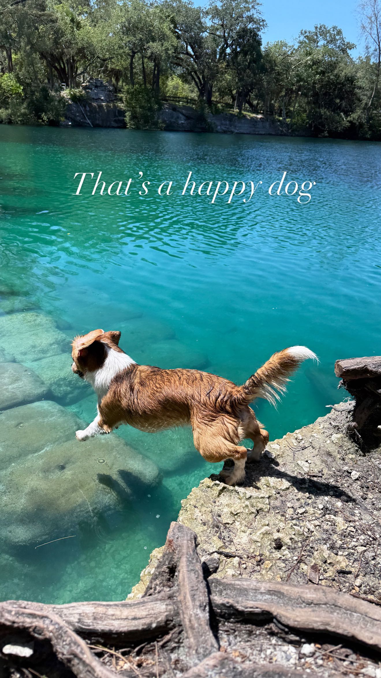 kydoddss snapchat image archive image