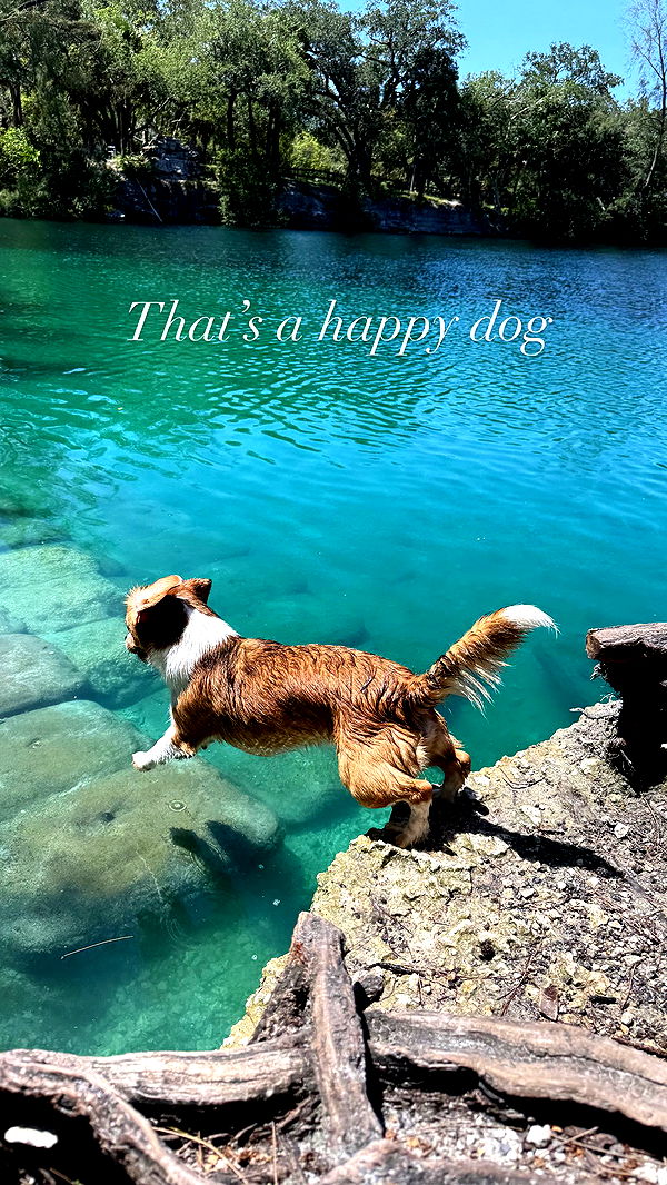 kydoddss image ~ Altpins