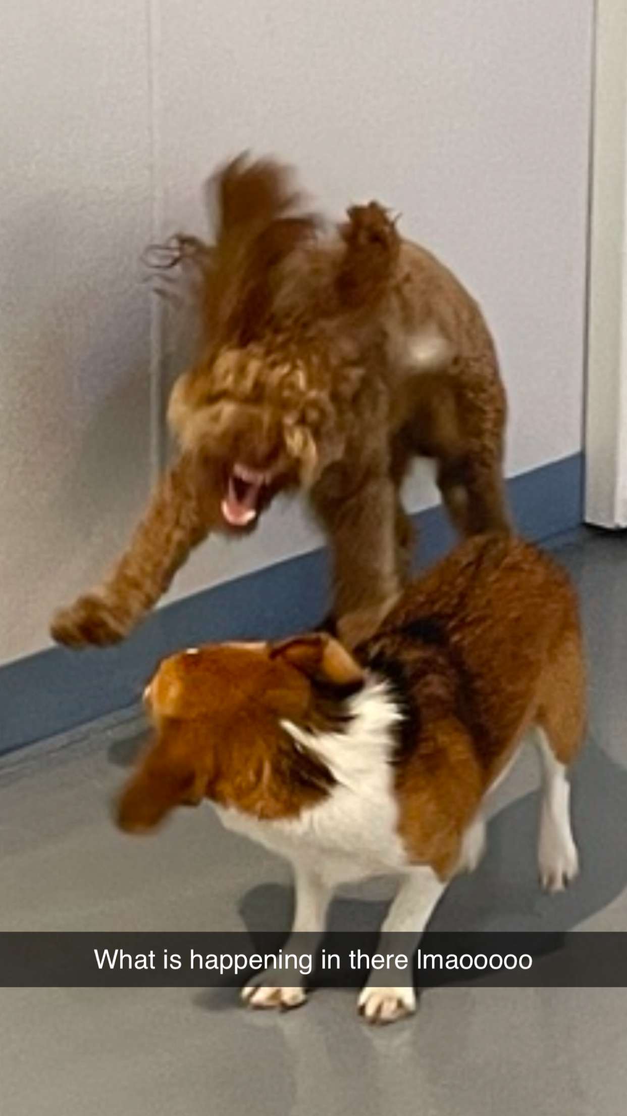 kydoddss snapchat image archive image