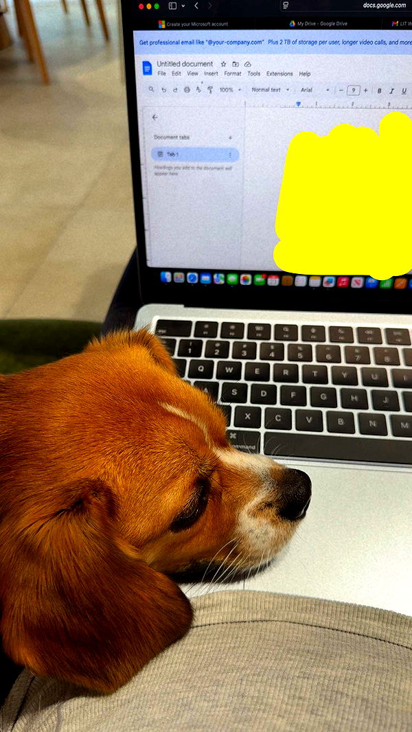 kydoddss image ~ Altpins