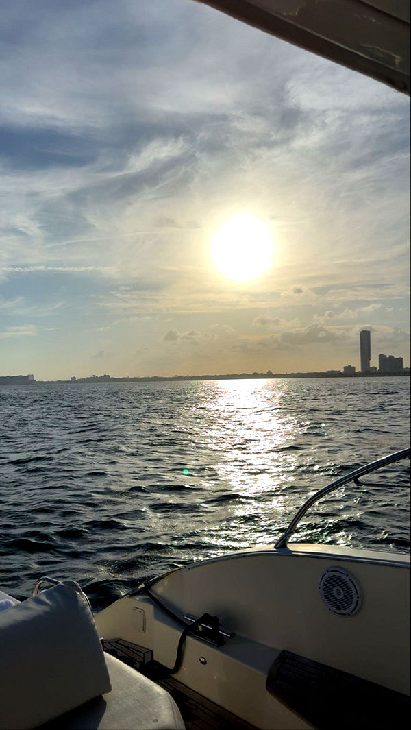 kydoddss image ~ Altpins