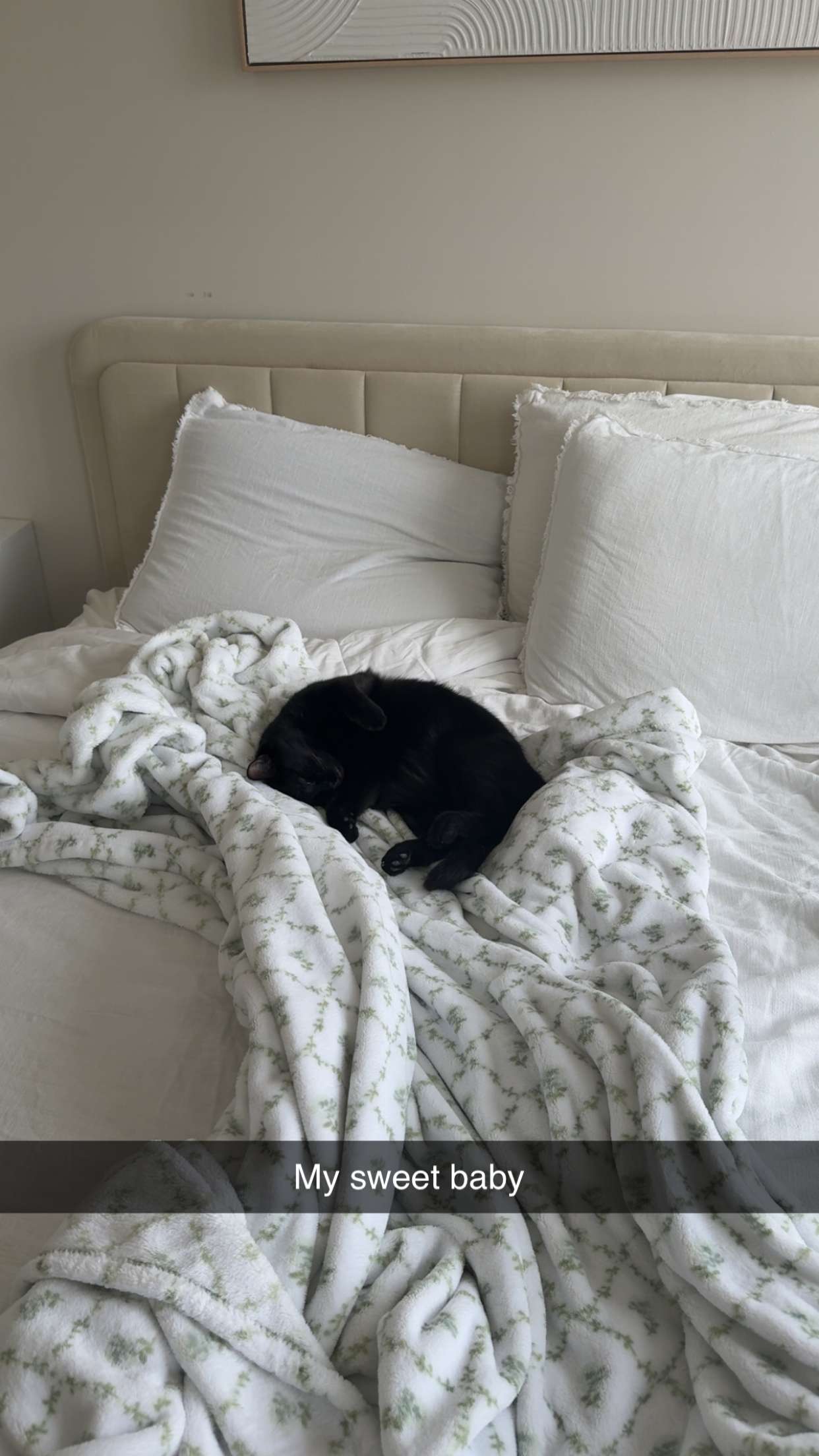 kydoddss snapchat image archive image