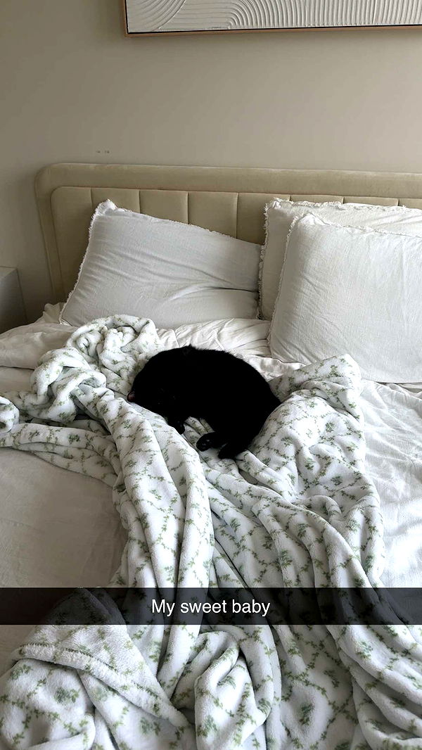 kydoddss image ~ Altpins