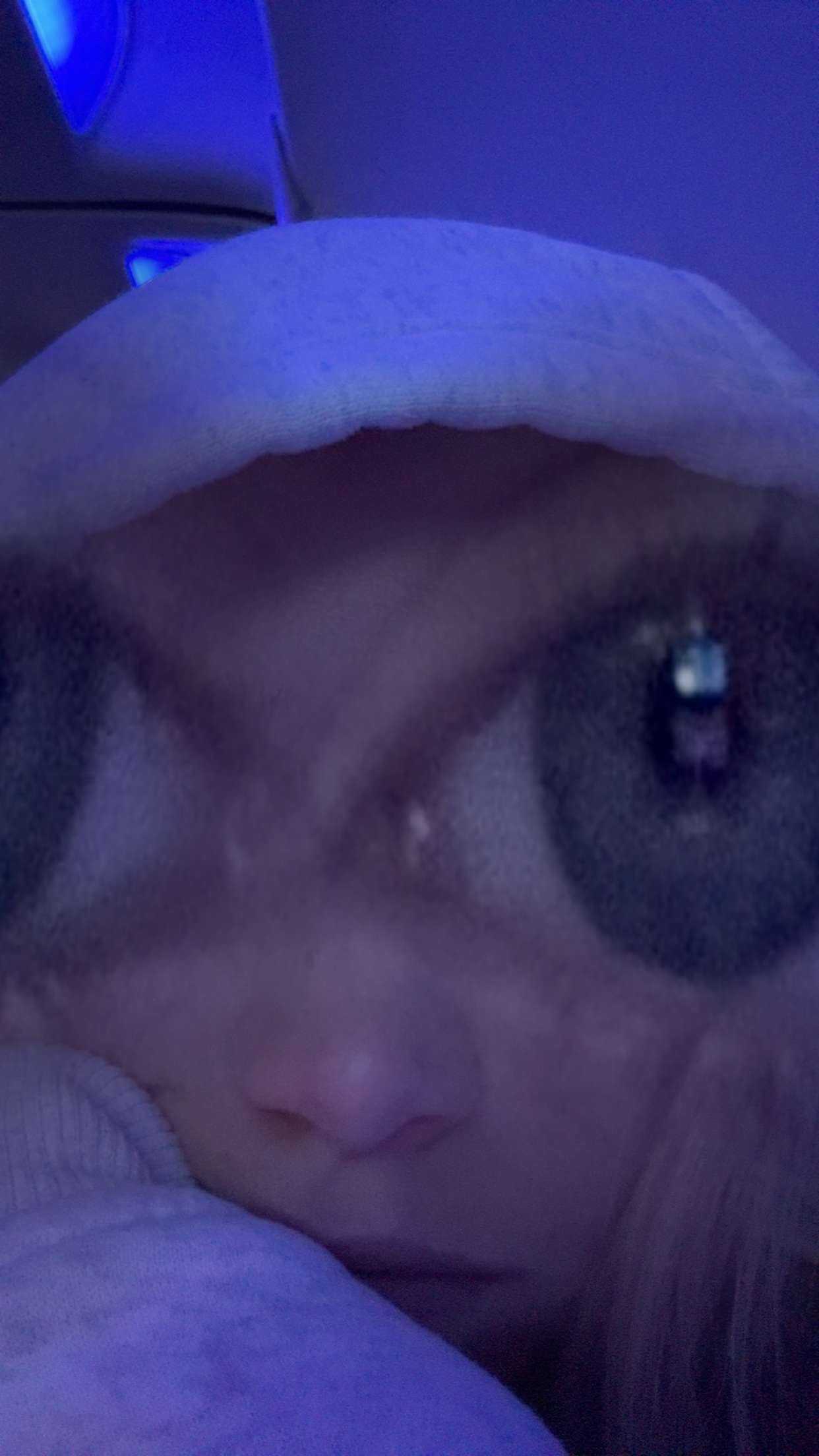 kydoddss snapchat image archive image