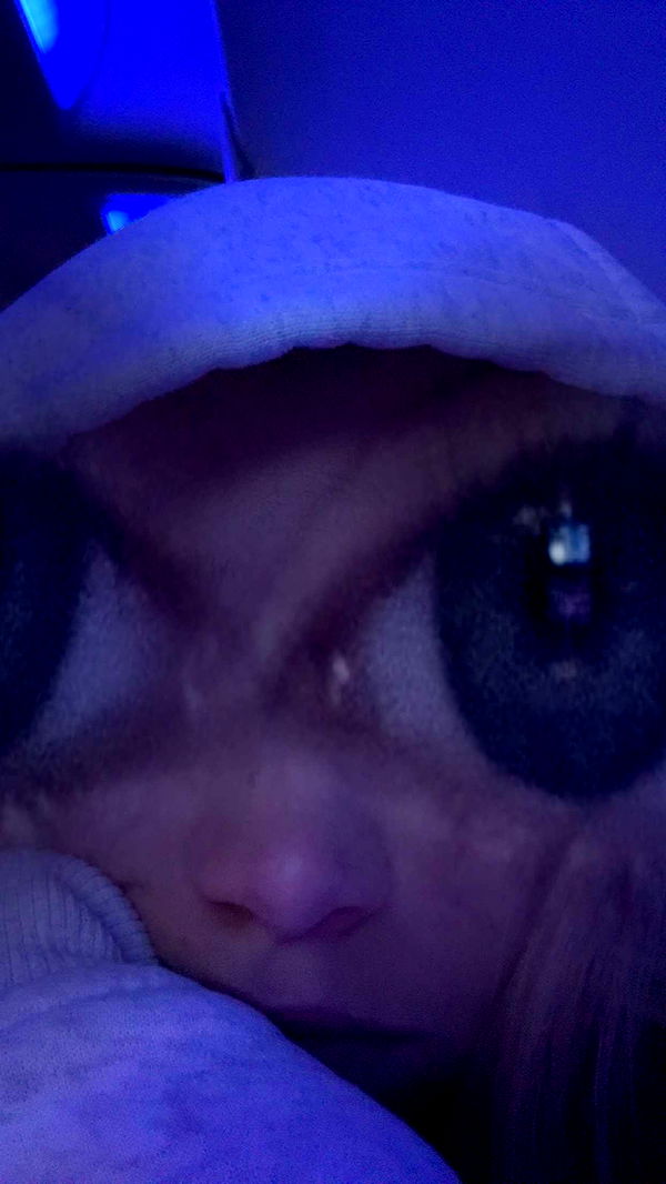 kydoddss image ~ Altpins