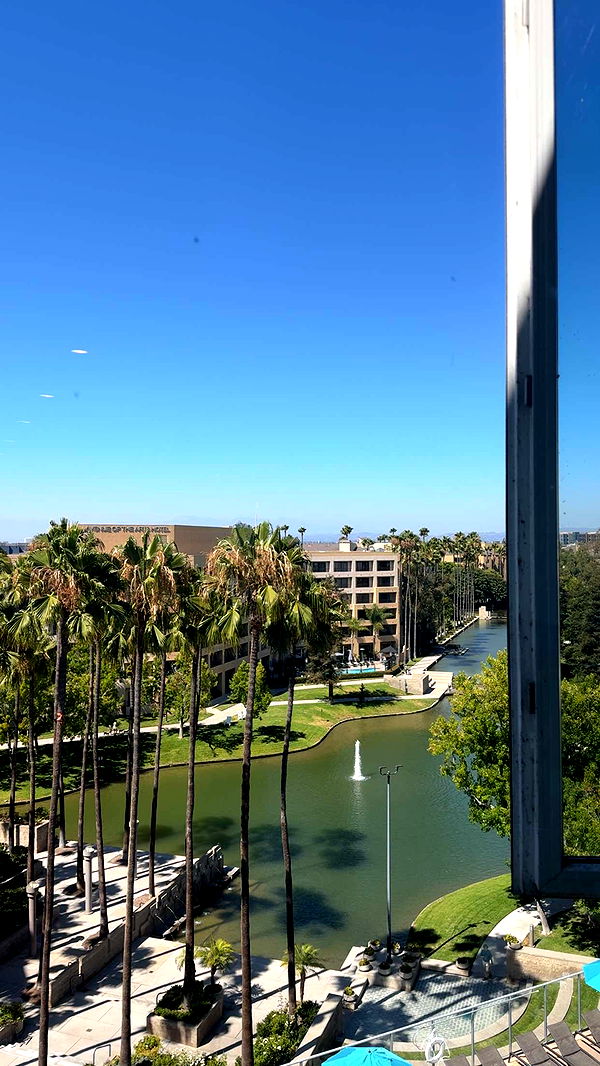 kydoddss image ~ Altpins