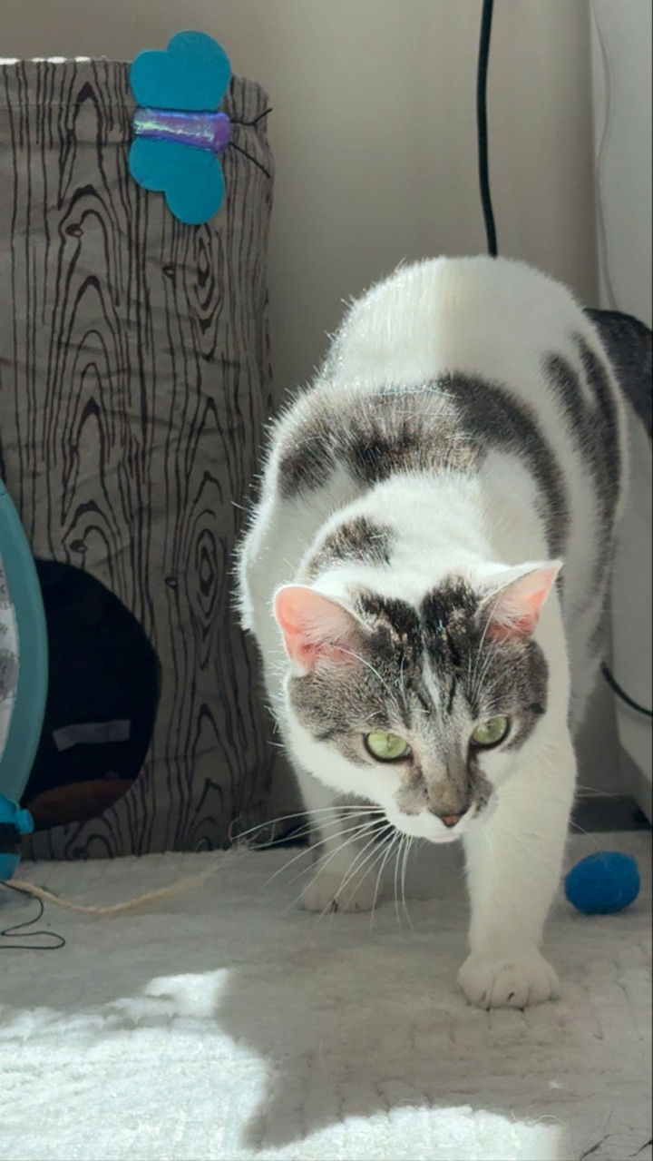 kydoddss snapchat image archive image