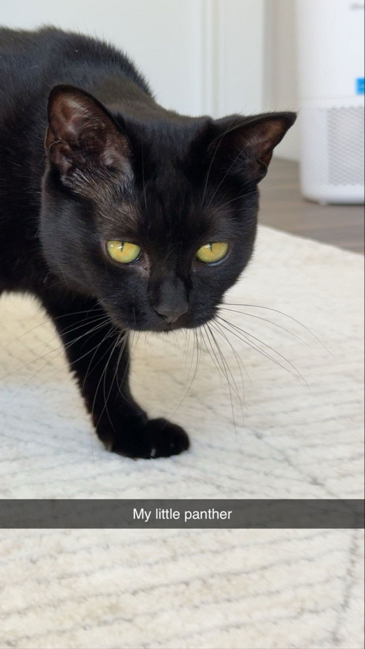 kydoddss snapchat image archive image