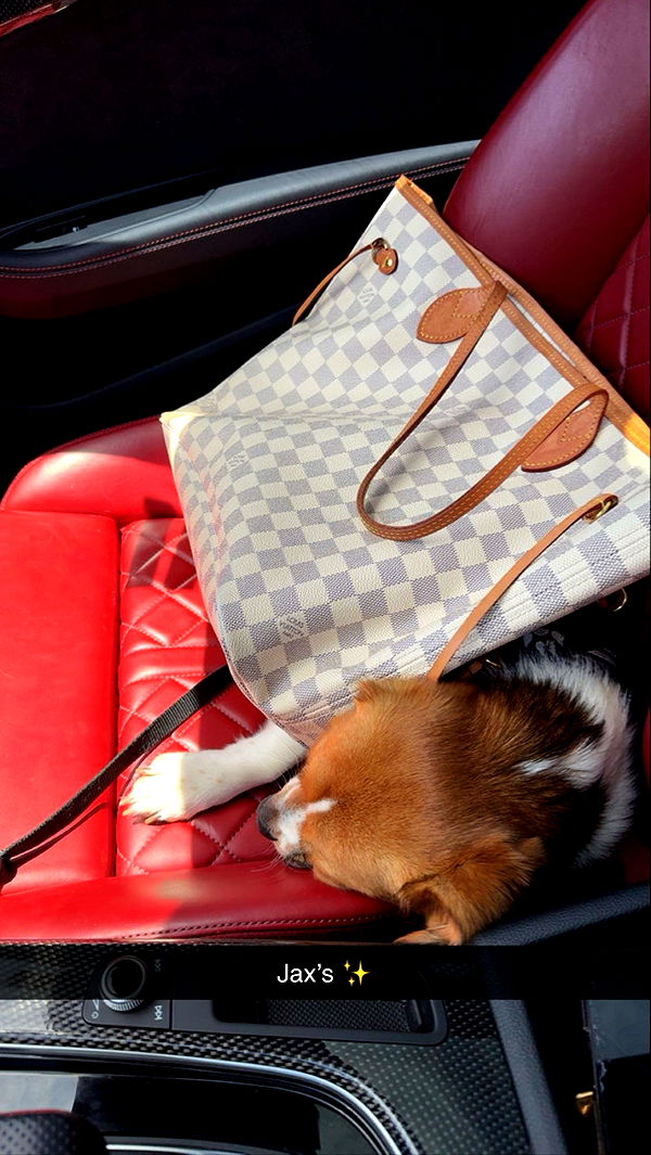 kydoddss image ~ Altpins