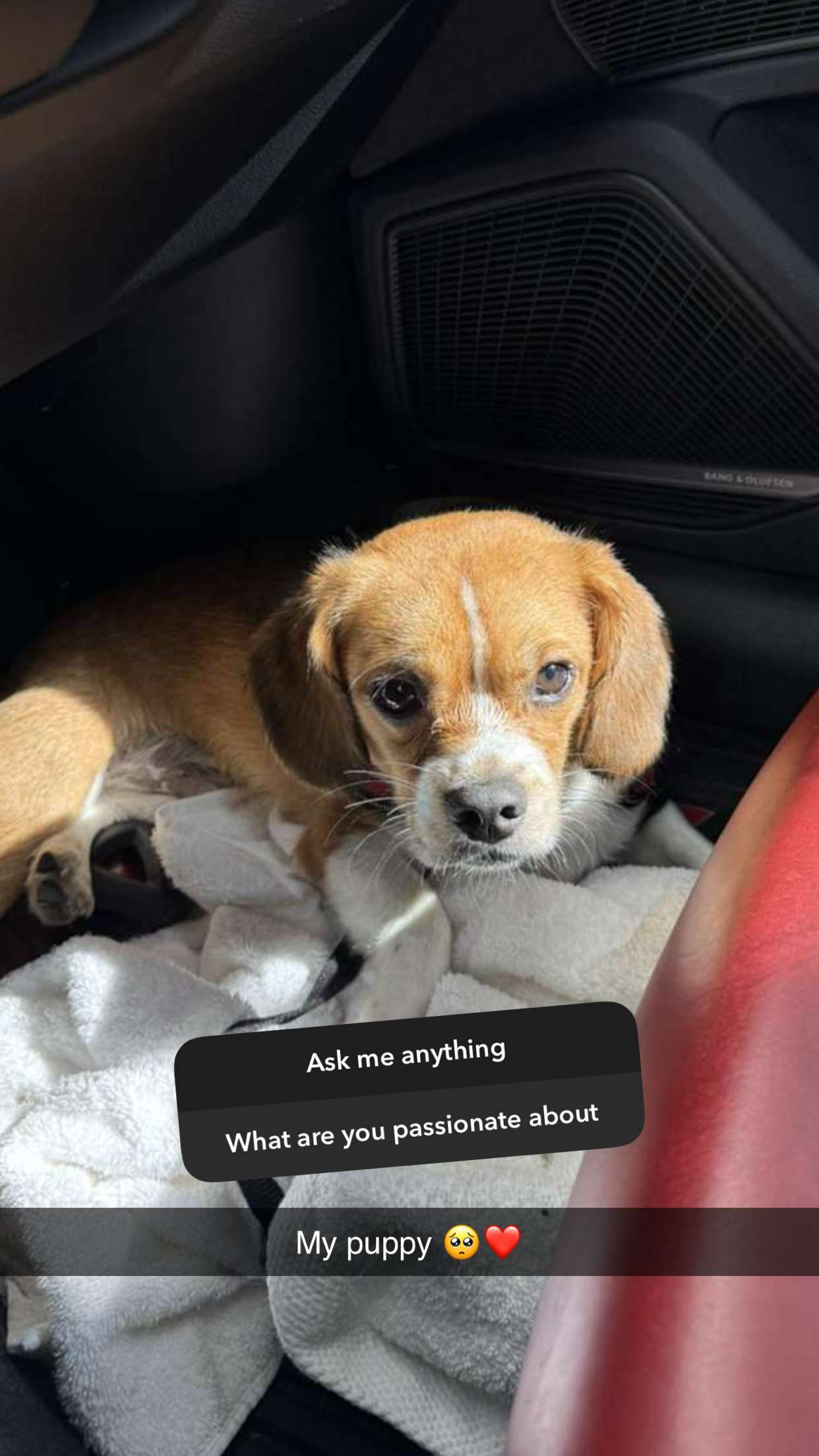 kydoddss snapchat image archive image