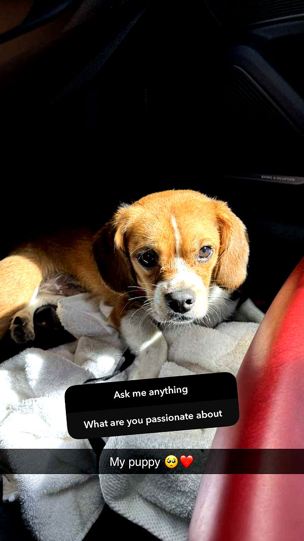 kydoddss image ~ Altpins