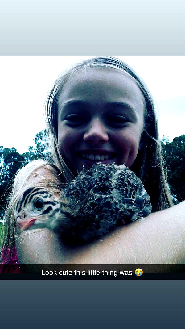 kydoddss image ~ Altpins