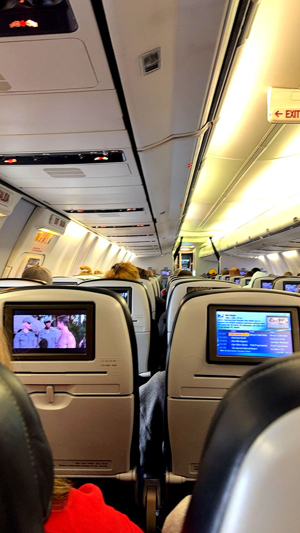 kydoddss image ~ Altpins