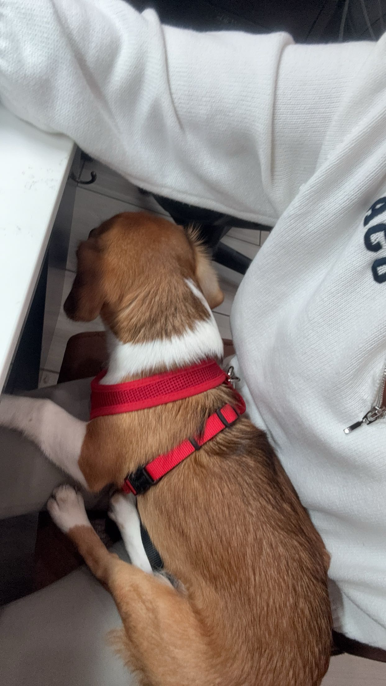 kydoddss snapchat image archive image