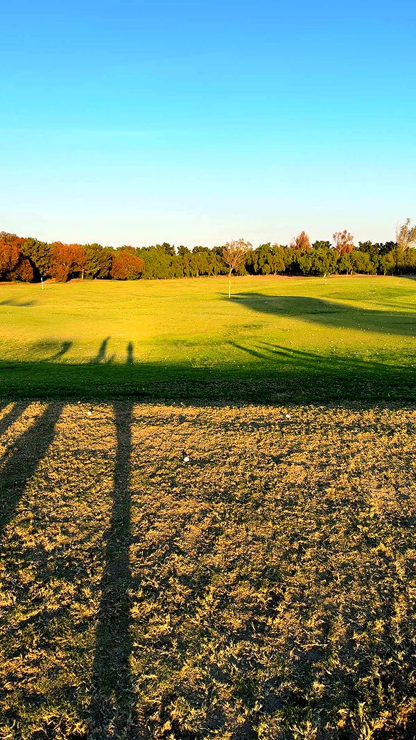 kydoddss image ~ Altpins