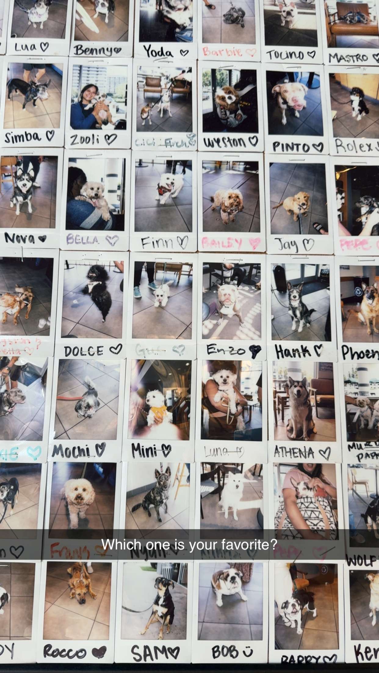 kydoddss snapchat image archive image