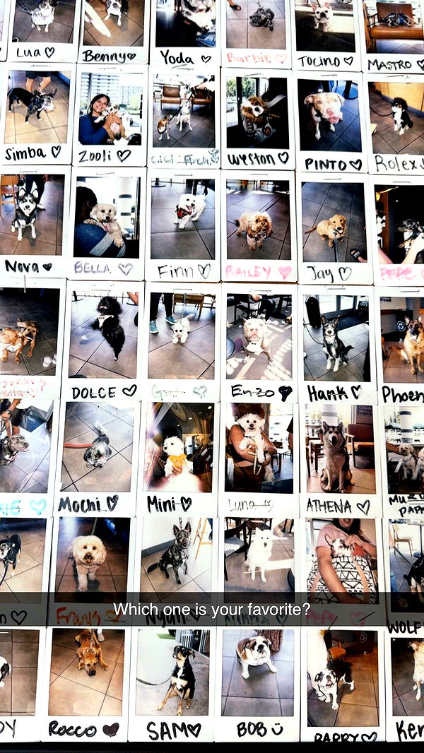 kydoddss image ~ Altpins