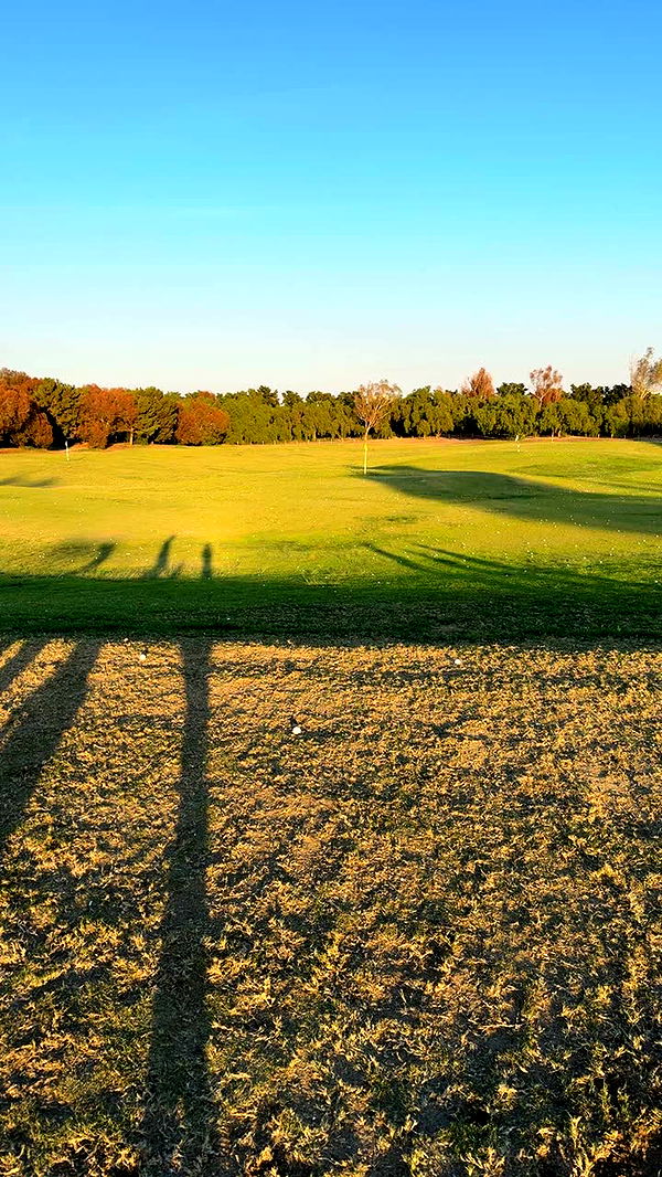 kydoddss image ~ Altpins