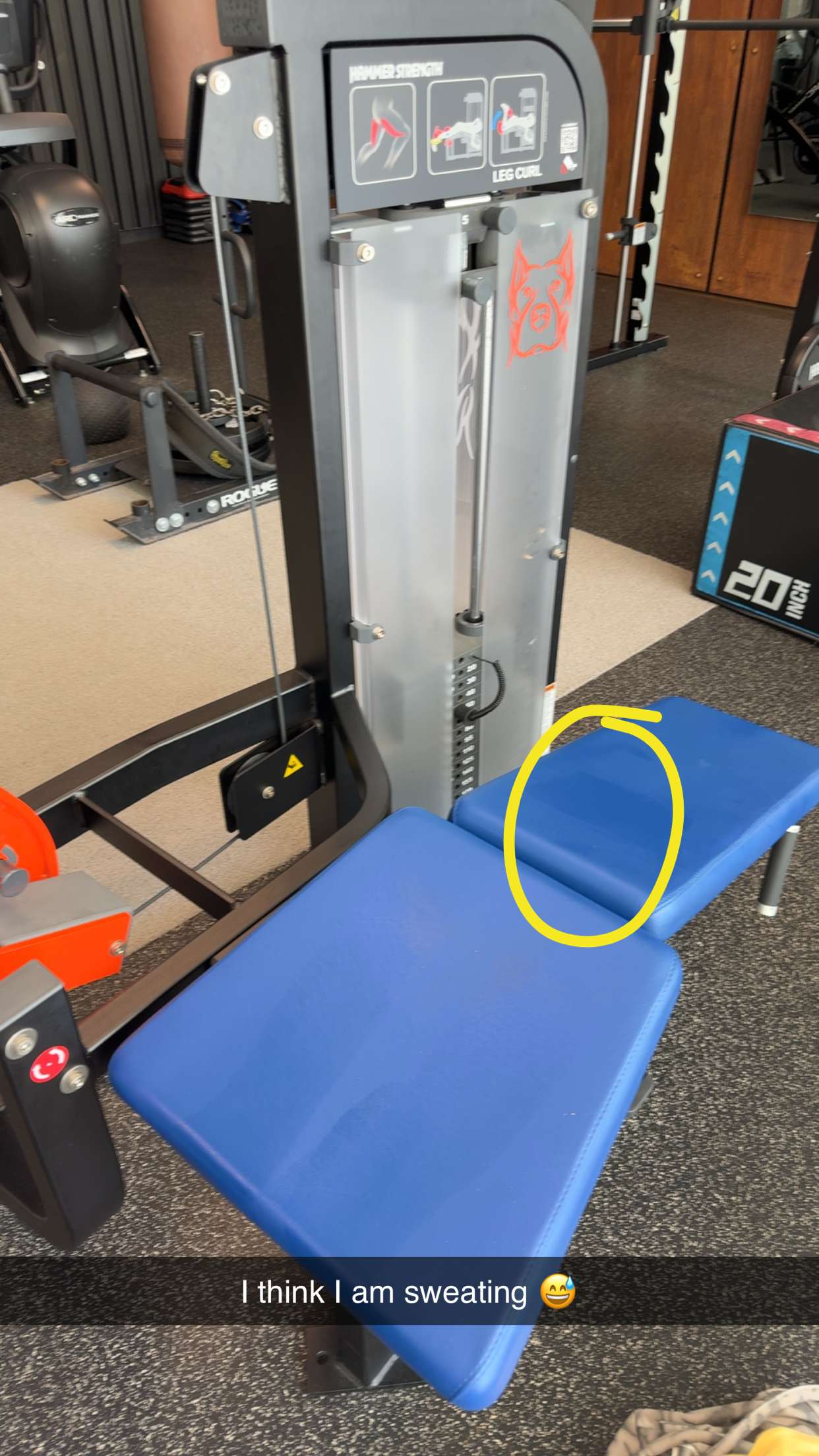 kydoddss snapchat image archive image