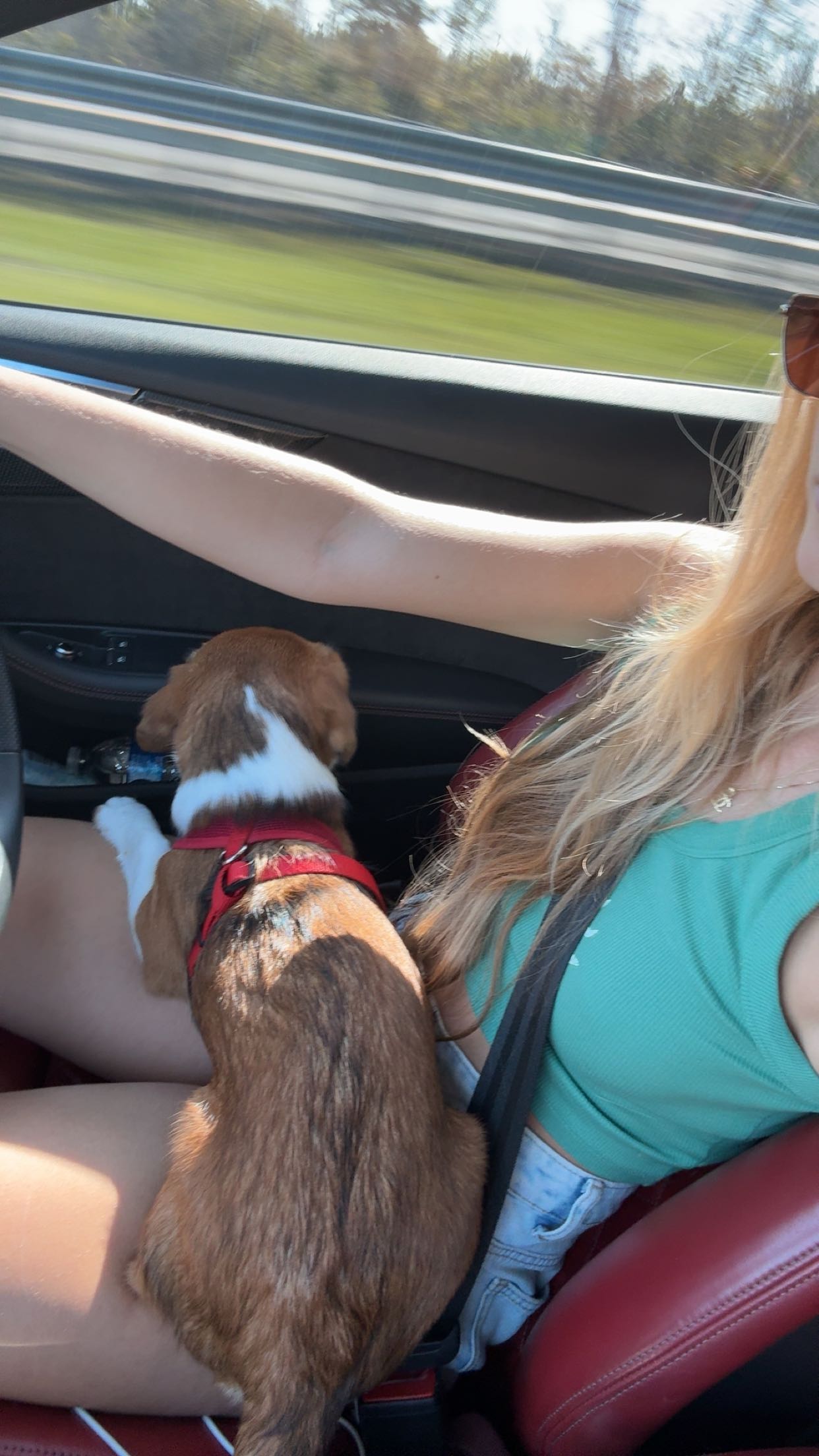 kydoddss snapchat image archive image