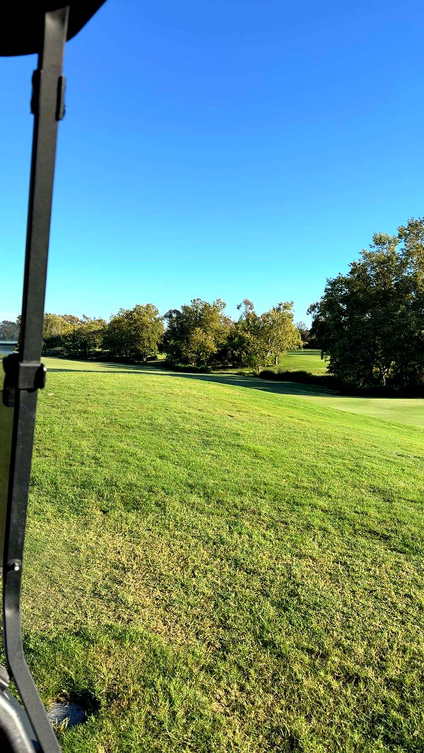 kydoddss image ~ Altpins