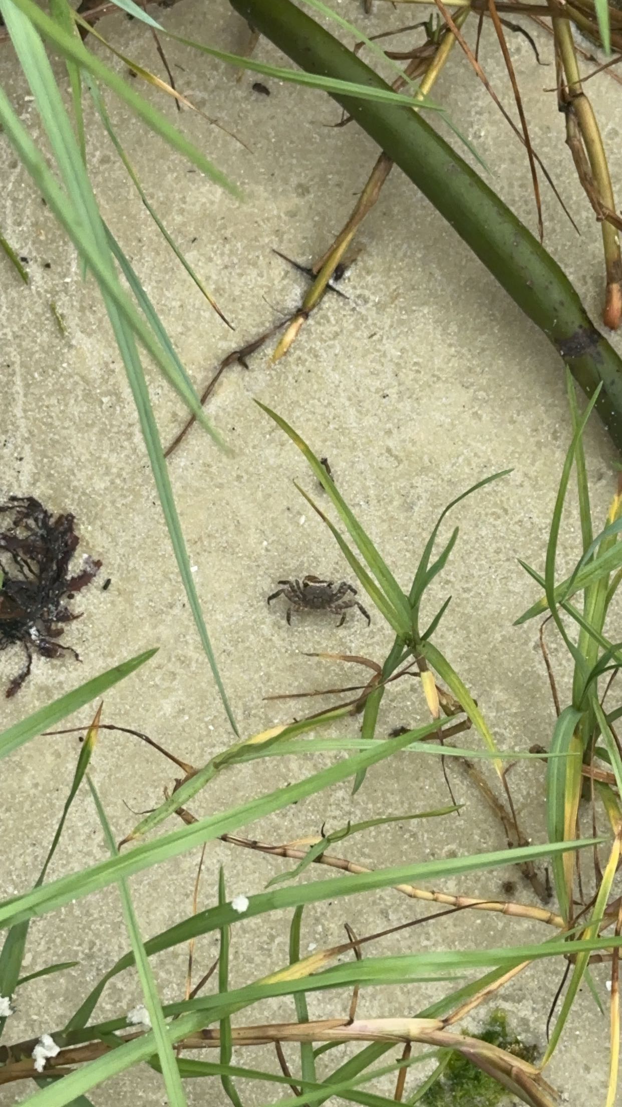 kydoddss snapchat image archive image