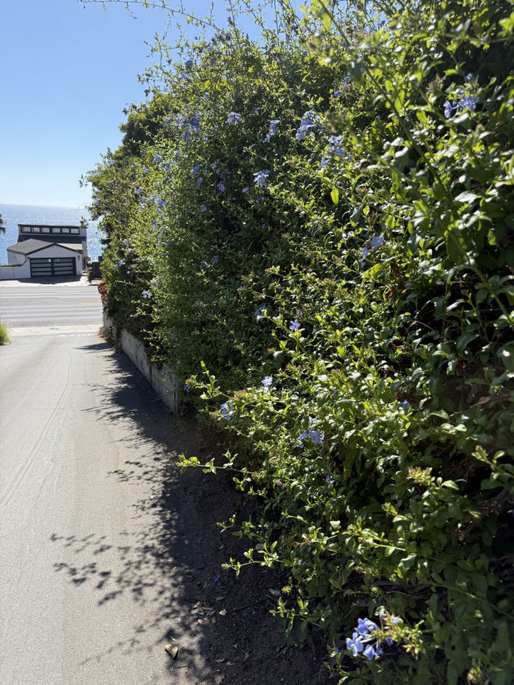 kydoddss snapchat image archive image