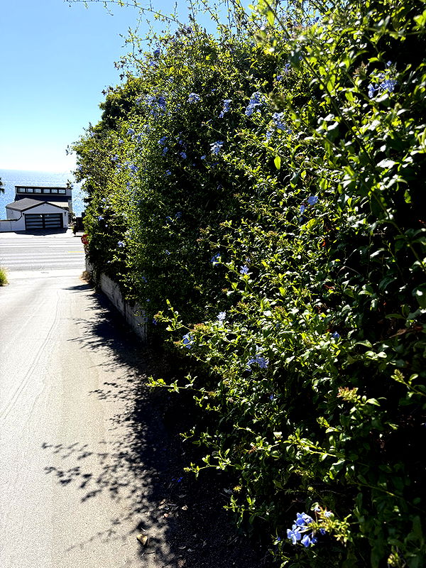 kydoddss image ~ Altpins