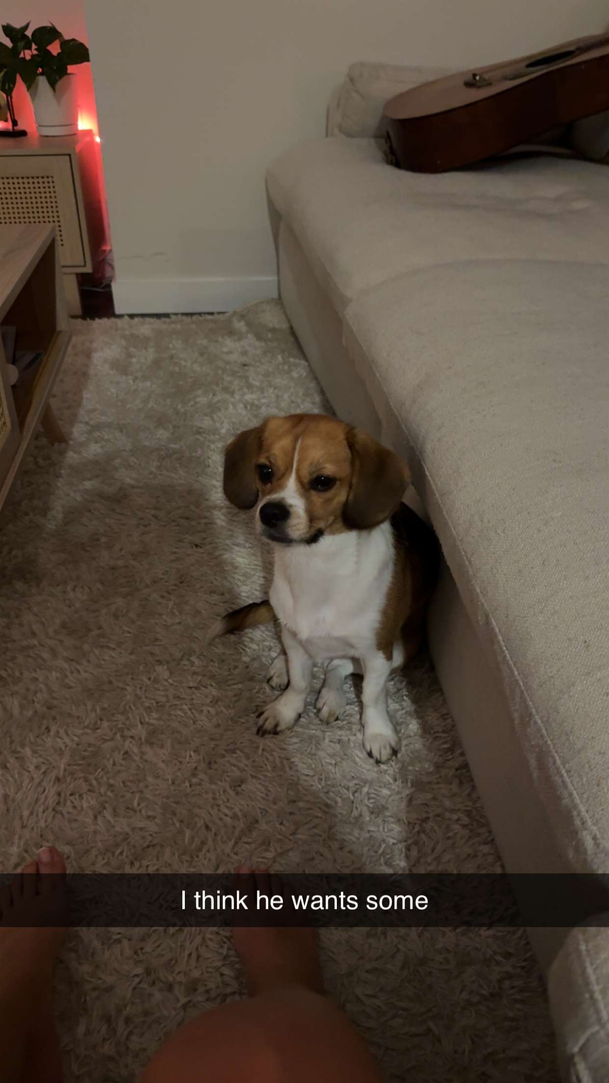 kydoddss snapchat image archive image