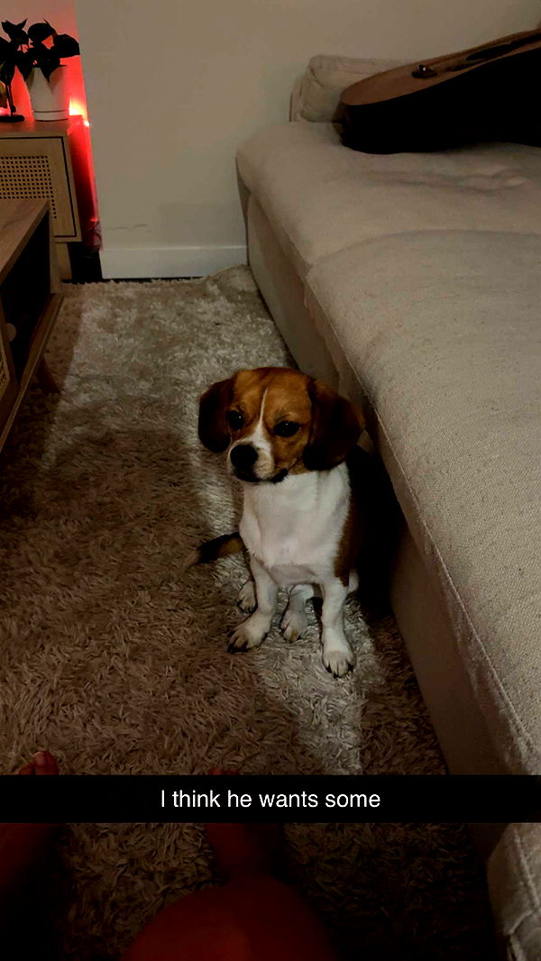 kydoddss image ~ Altpins