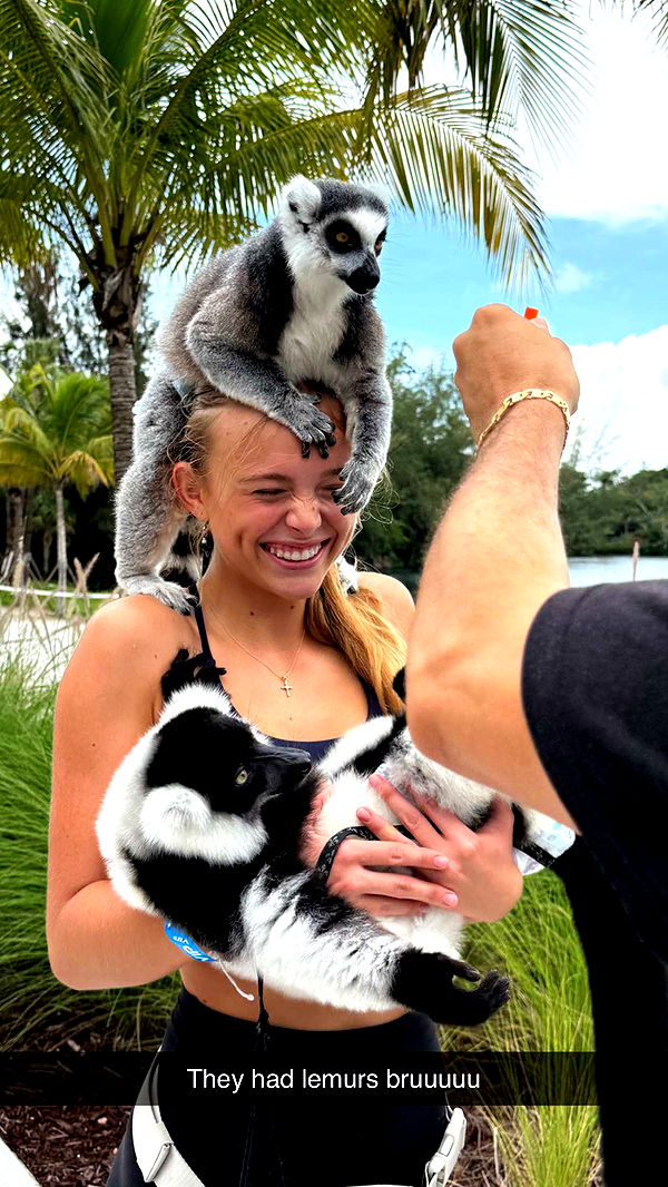 kydoddss image ~ Altpins