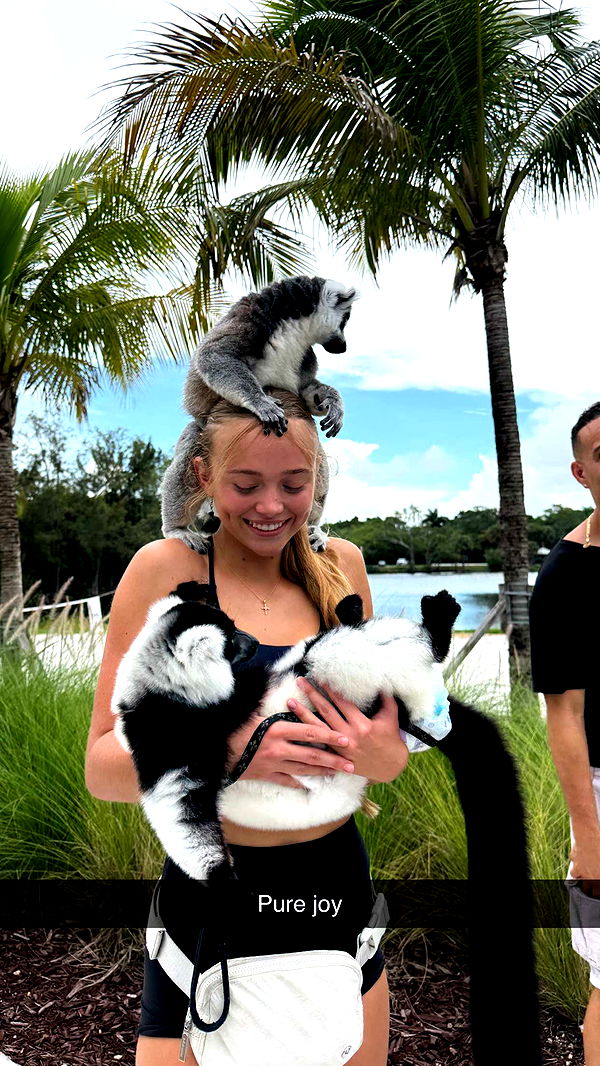 kydoddss image ~ Altpins