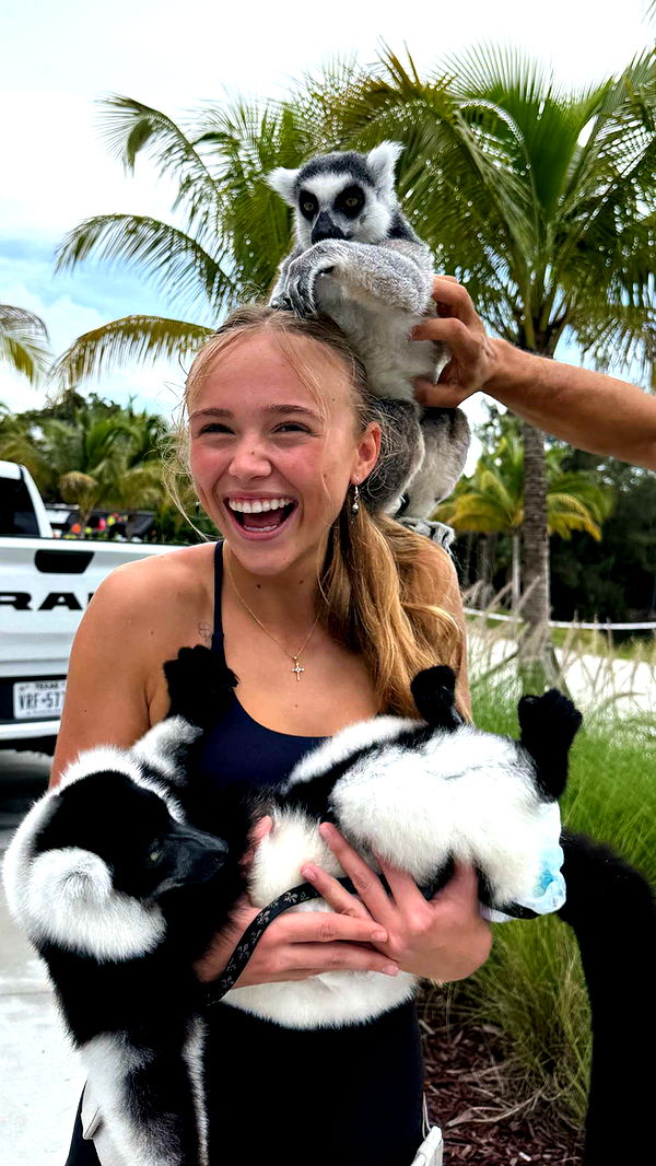 kydoddss image ~ Altpins