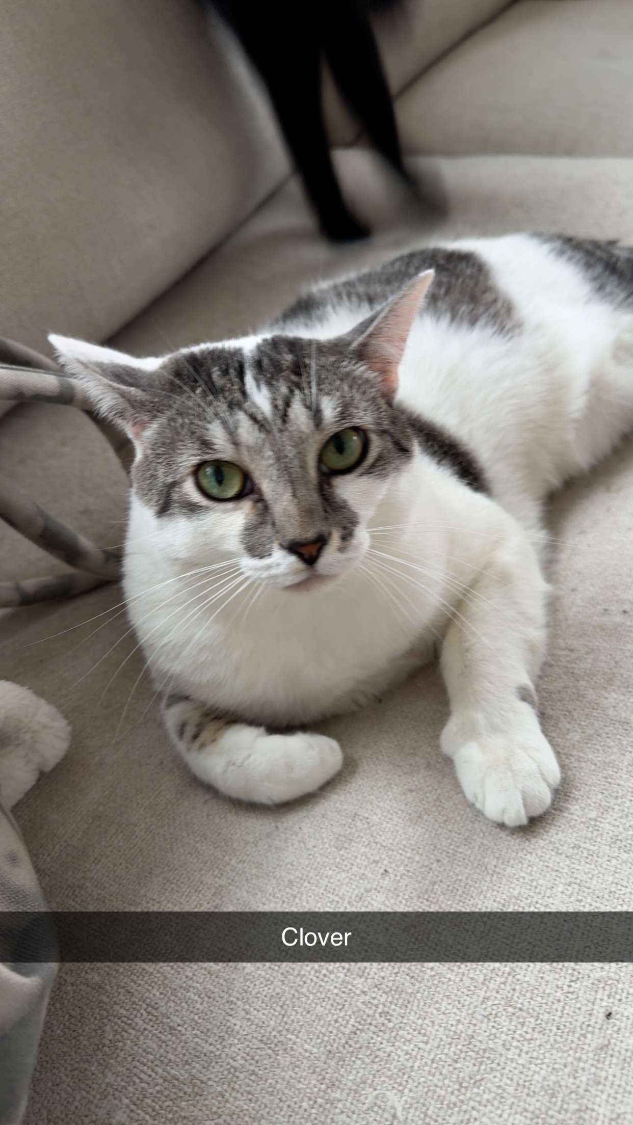 kydoddss snapchat image archive image