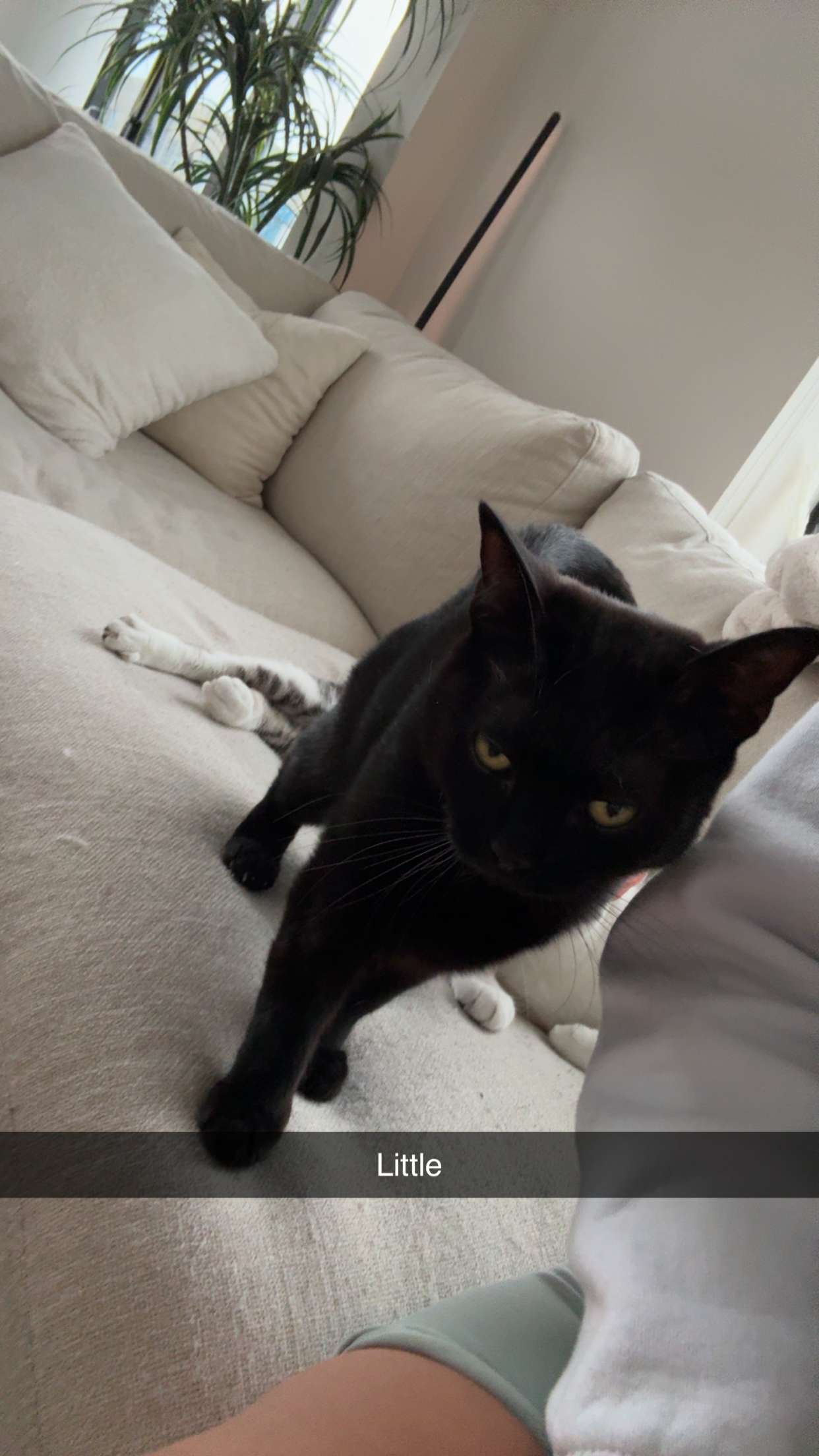 kydoddss snapchat image archive image