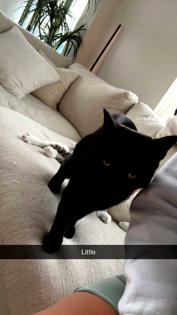 kydoddss image ~ Altpins