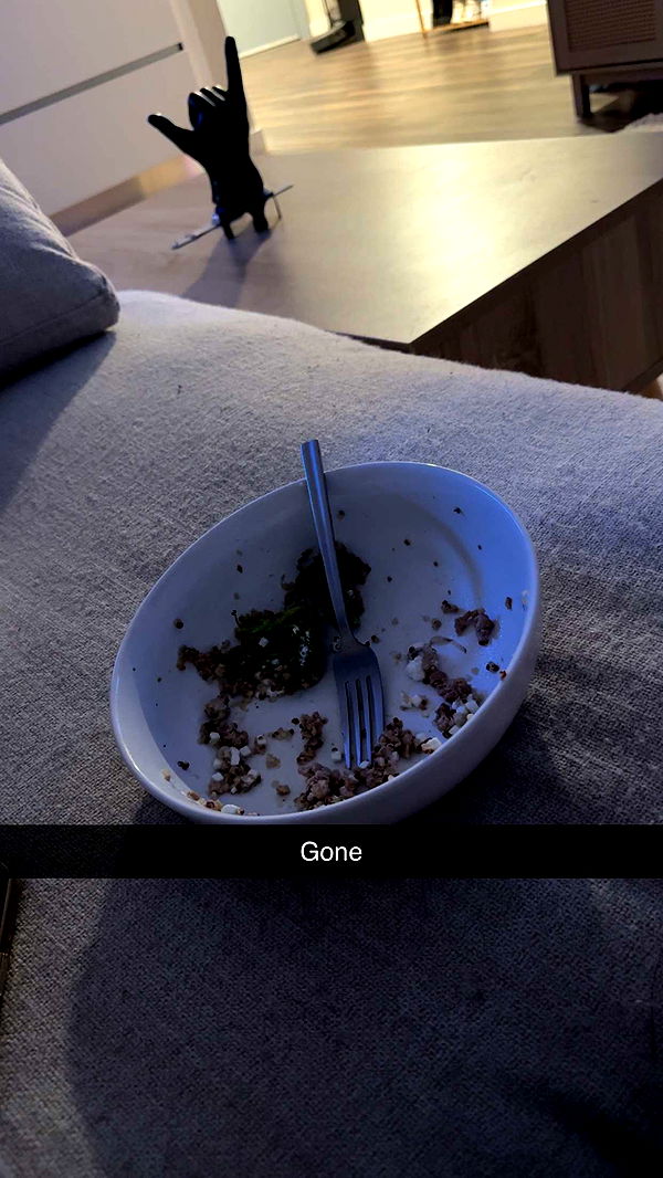 kydoddss image ~ Altpins