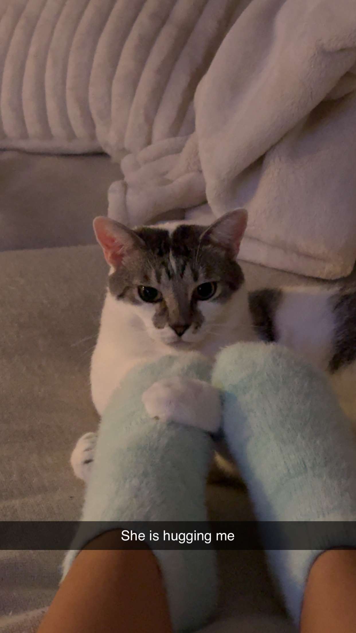 kydoddss snapchat image archive image