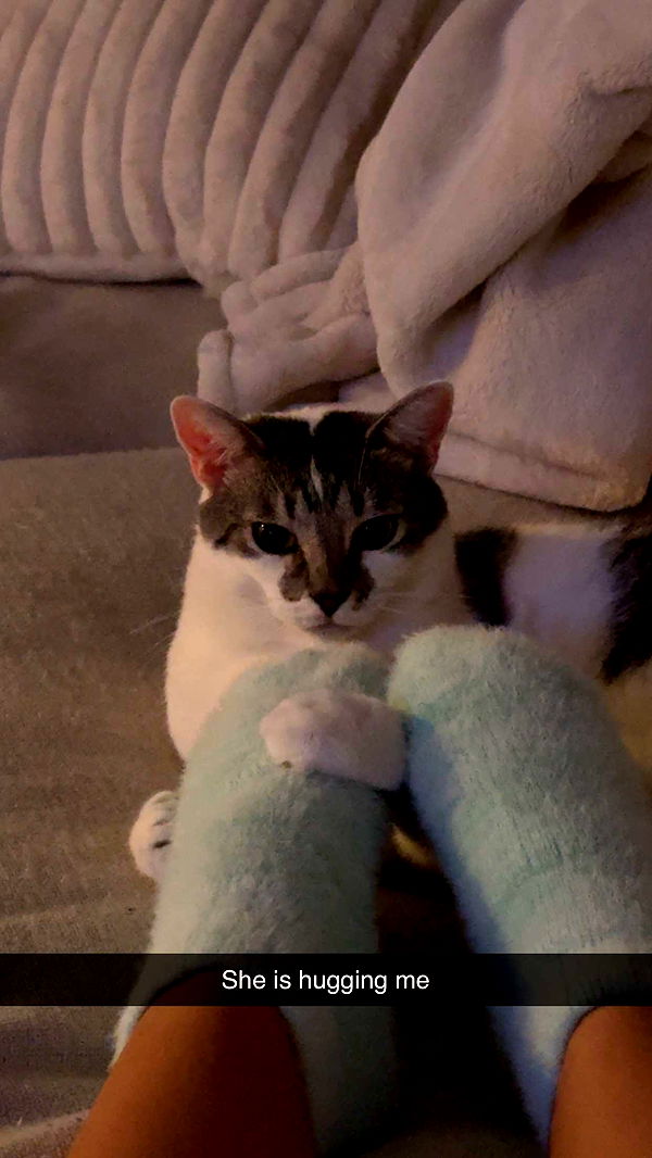 kydoddss image ~ Altpins