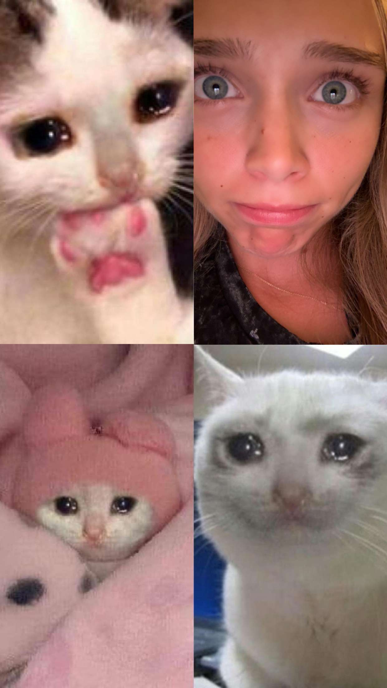 kydoddss snapchat image archive image